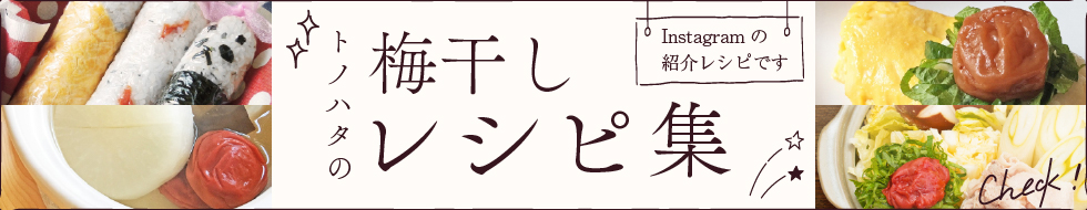 トノハタの梅干しレシピ集。Instagramの紹介レシピです。Check!