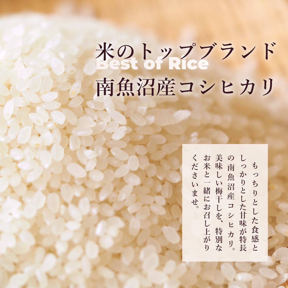 米のトップブランド南魚沼産コシヒカリBest of Rice。もっちりとした食感としっかりとした甘味が特長の南魚沼産コシヒカリ。美味しい梅干しを、特別なお米と一緒にお召し上がりくださいませ。