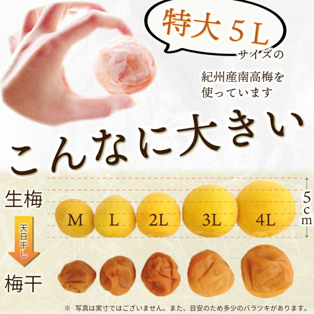 特大5Lサイズの紀州産南高梅を使っています。こんなに大きい！写真は実寸ではございません。また、目安のため多少のバラツキがあります。