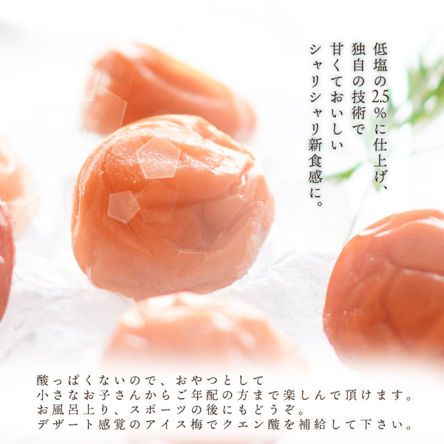 紀州 アイス梅 梅干し
