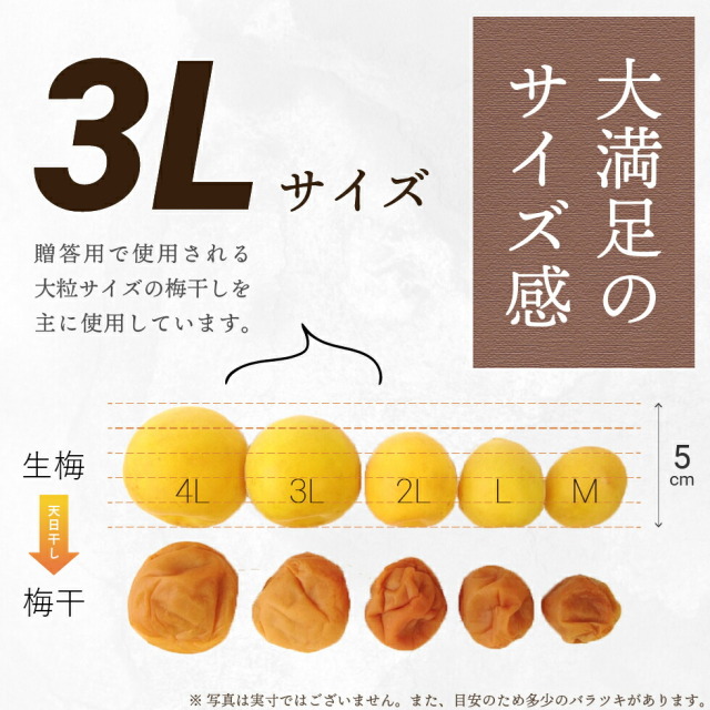 大満足のサイズ感。3Lサイズ、贈答用で使用される大粒サイズの梅干しを主に使用しています。※写真は実寸ではございません。また、目安のため多少のバラツキがあります。