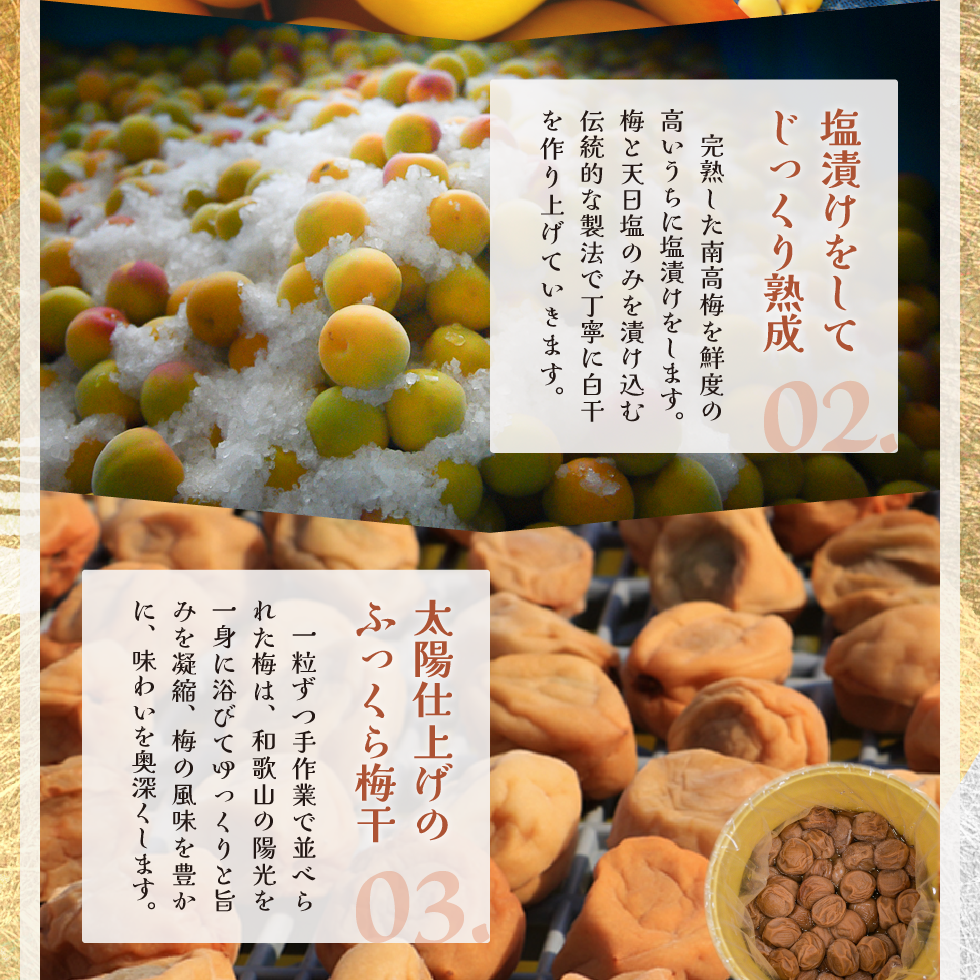 02.塩漬けをしてじっくり熟成。完熟した南高梅を鮮度の高いうちに塩漬けをします。梅と天日塩のみを漬け込む伝統的な製法で丁寧に白干を作り上げていきます。03.太陽地上げのふっくら梅干。一粒ずつ手作業で並べられた梅は、和歌山の陽光を一身に浴びてゆっくりと旨みを凝縮、梅の風味を豊かに、味わい奥深くします。
